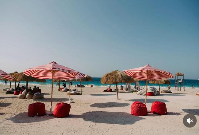 8718375 - صورة العقار 3