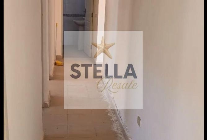 105163997 - Property Image 3
