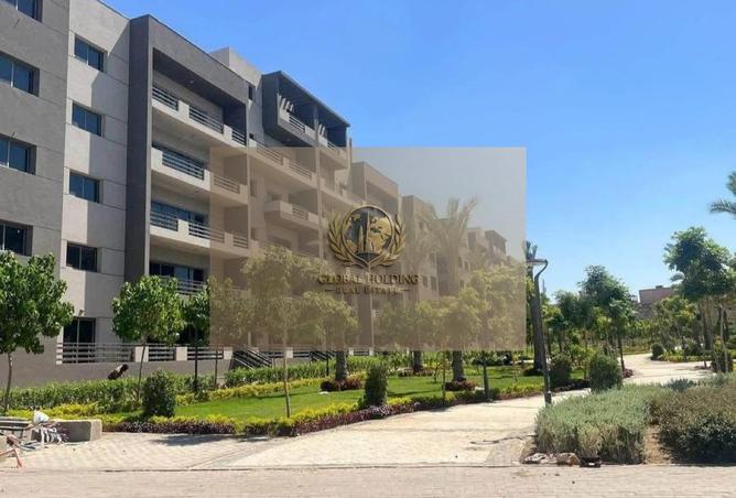 57493153 - صورة العقار 3