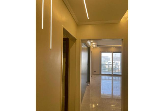 64891539 - صورة العقار 3