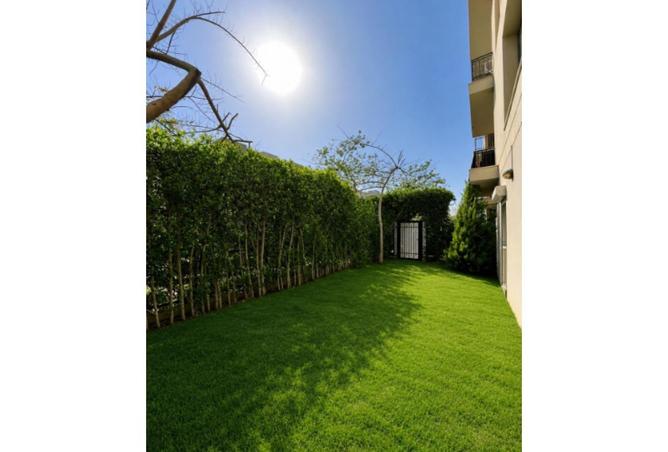 79445014 - Property Image 3