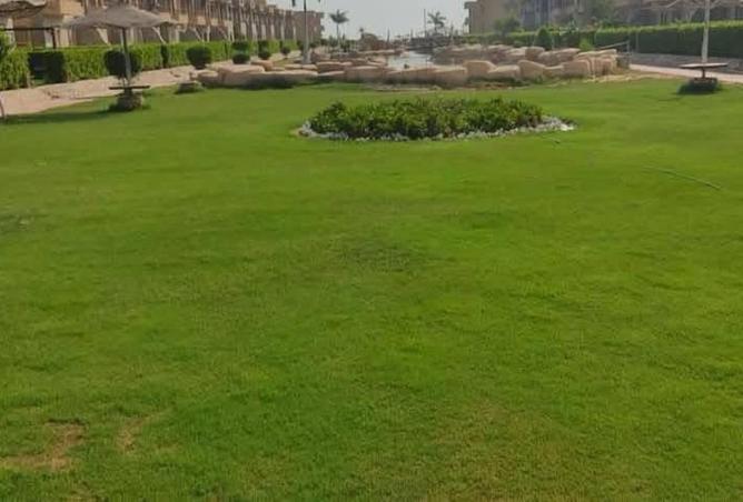 69567272 - صورة العقار 2