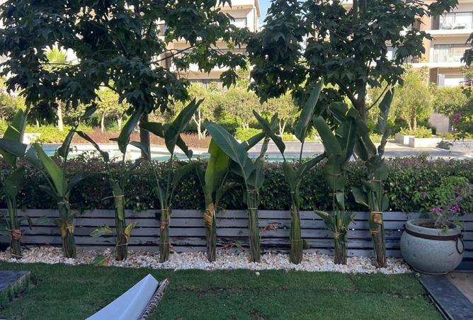 57243158 - الصورة الرئيسية للعقار