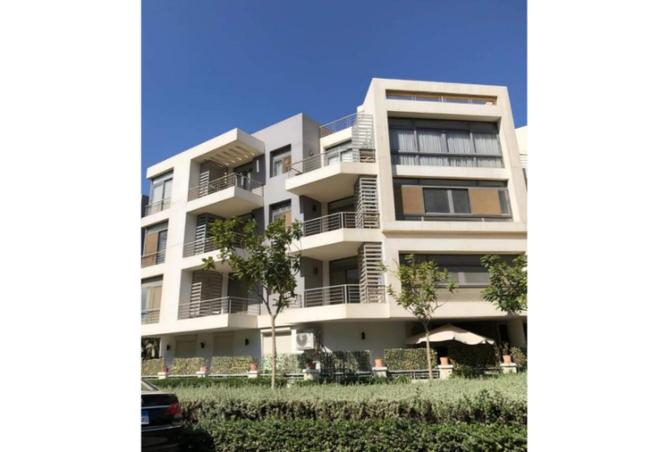 68534112 - Property Image 2