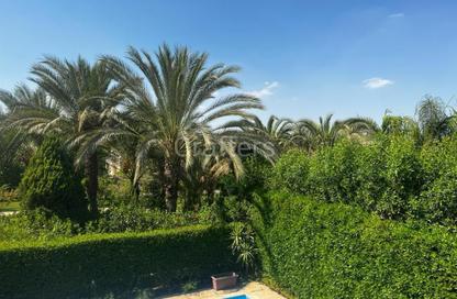 فيلا - 6 غرف نوم - 4 حمامات للبيع في تلال الجزيرة - كمبوندات الشيخ زايد - الشيخ زايد - الجيزة فيلا - 6 غرف نوم - 4 حمامات للبيع في تلال الجزيرة - كمبوندات الشيخ زايد - الشيخ زايد - الجيزة
