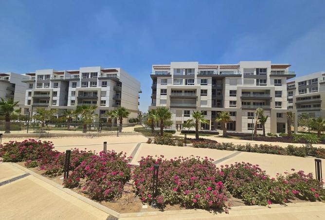 56003885 - Property Image 2