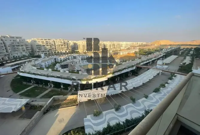 117523817 - صورة العقار 2