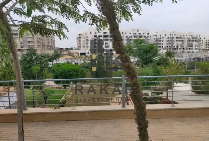 117523817 - صورة العقار 3