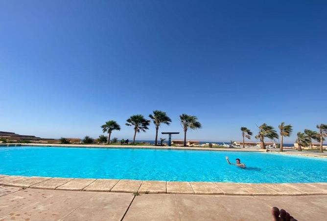 68269619 - Property Image 3