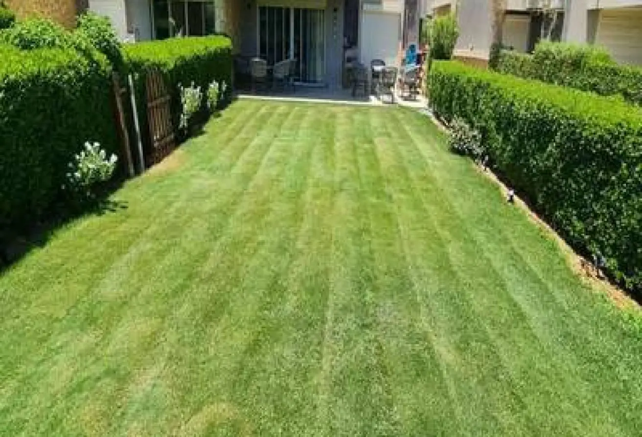 112987987 - الصورة الرئيسية للعقار