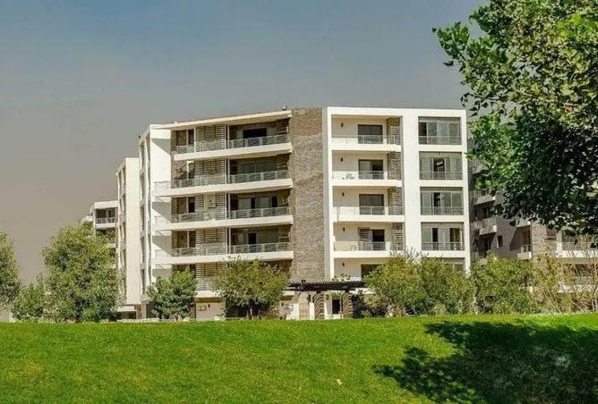 64128221 - Property Image 3