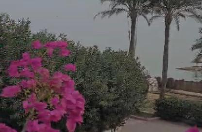 شاليه - 2 غرف نوم - 1 حمام للبيع في فايد - الإسماعيلية شاليه - 2 غرف نوم - 1 حمام للبيع في فايد - الإسماعيلية