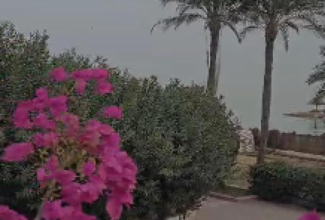 82611125 - الصورة الرئيسية للعقار