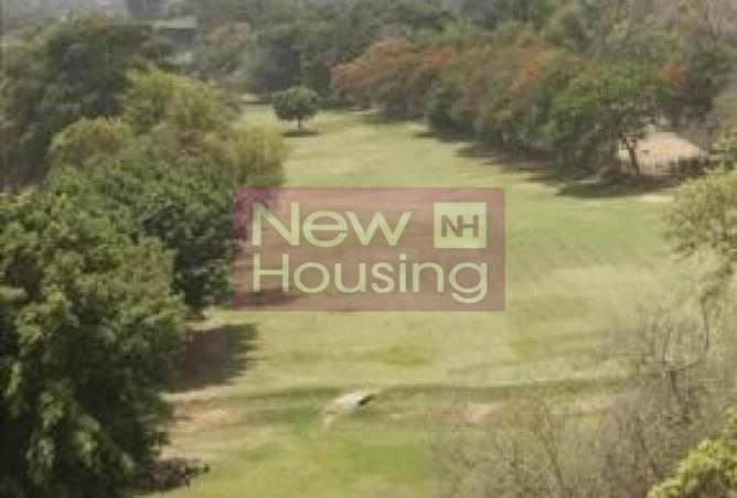 8404885 - صورة العقار 3