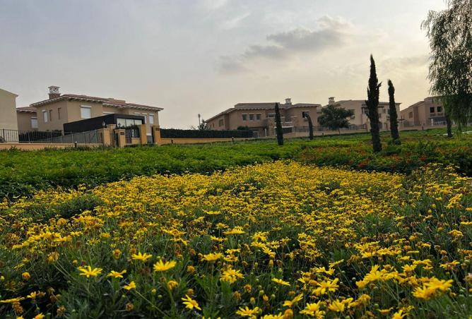 8594594 - Property Image 3