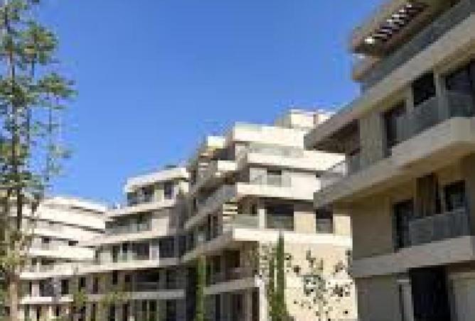 56505303 - Property Image 3