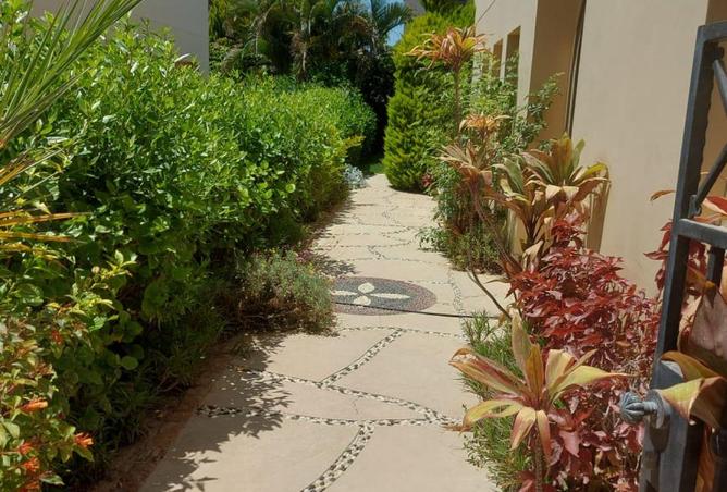 54239858 - Property Main Image