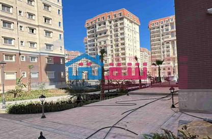 Apartment - 3 - 2 for sale in Sawary - Alexandria Compounds - Alexandria