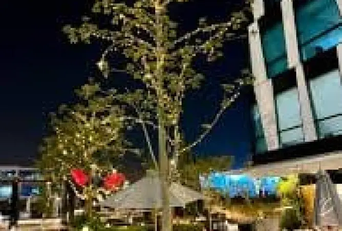 114617693 - صورة العقار 2