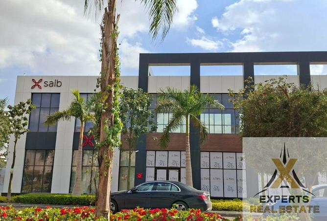 64906179 - صورة العقار 3