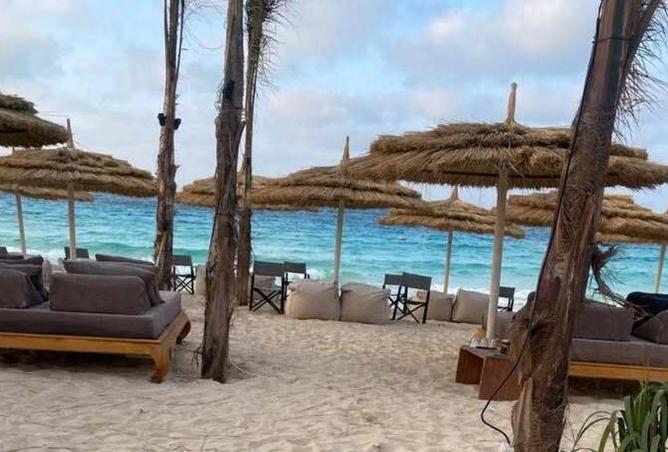 70367339 - Property Image 3