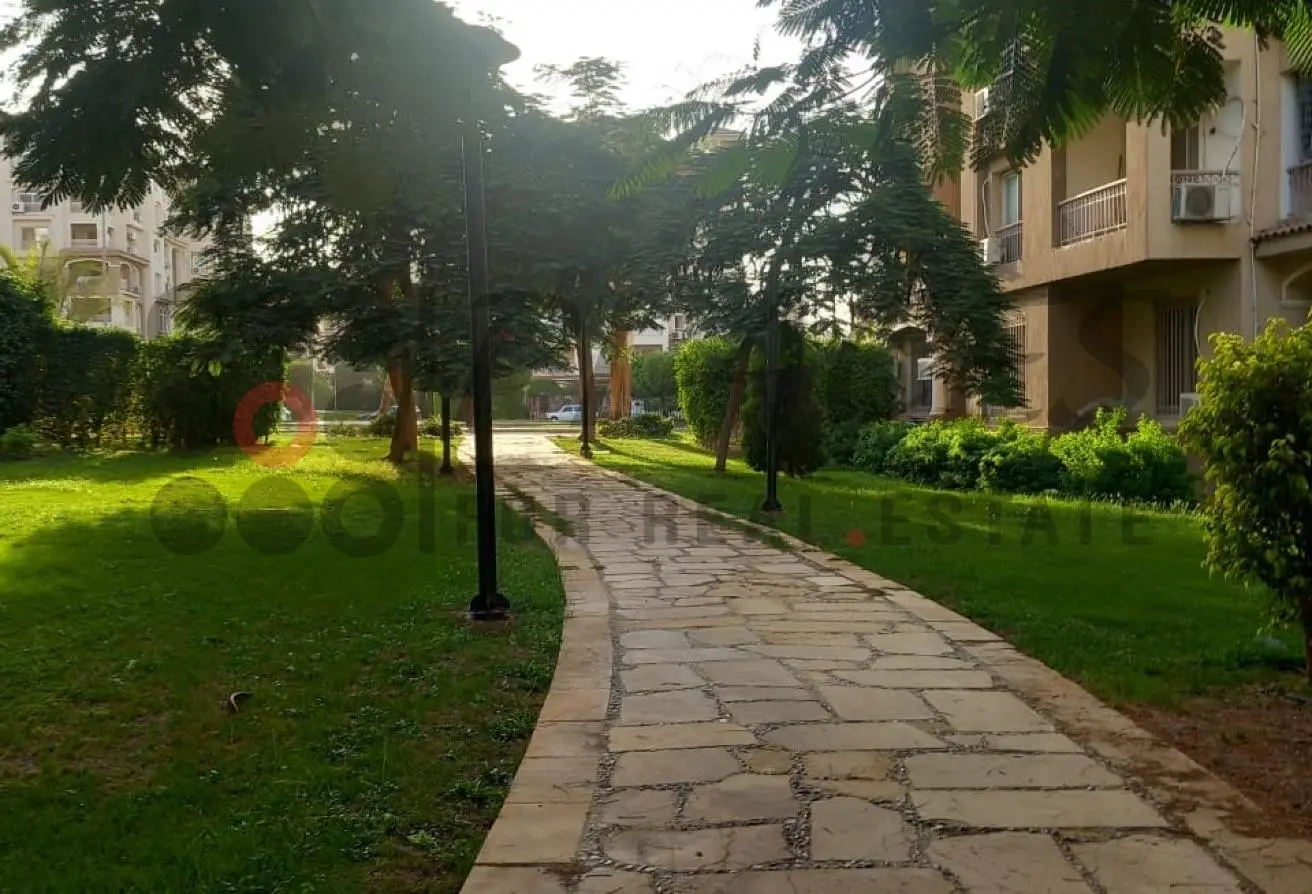 113245533 - الصورة الرئيسية للعقار