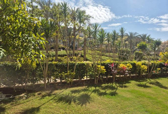 79998045 - Property Main Image