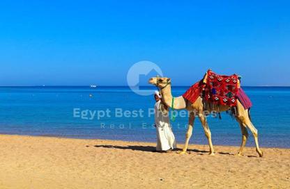 شاليه - 3 غرف نوم - 3 حمامات للبيع في سوما باى - سفاجا - الغردقة - محافظة البحر الاحمر