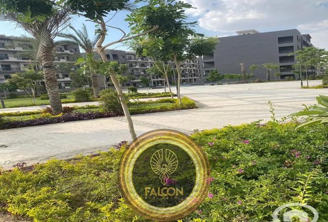 62648162 - صورة العقار 3