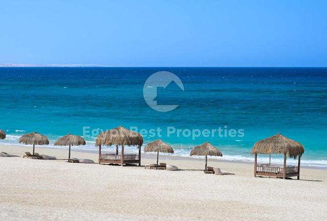 56252211 - Property Image 2