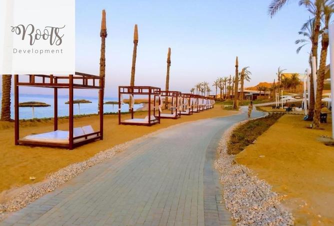 64642530 - Property Image 3