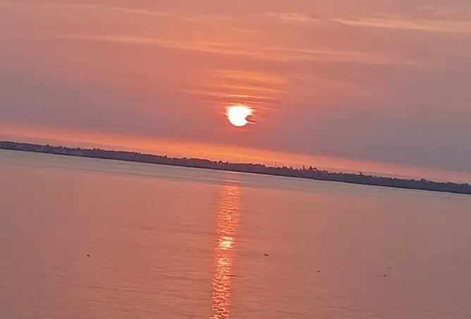 82610406 - صورة العقار 2