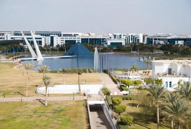 54503736 - صورة العقار 2