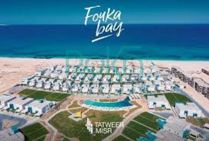 54762319 - Property Image 3