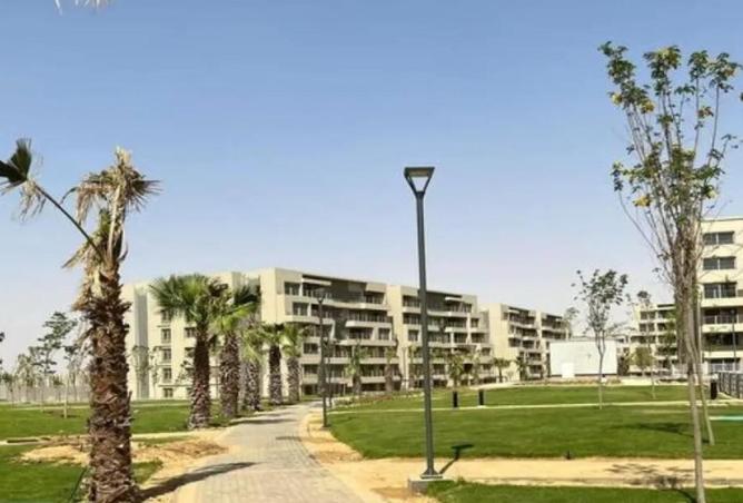 8655977 - Property Image 3