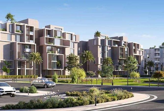 55993585 - صورة العقار 2