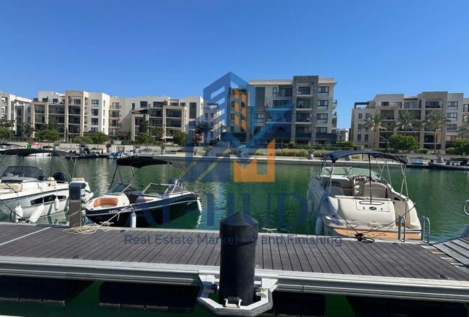 71391867 - Property Image 3
