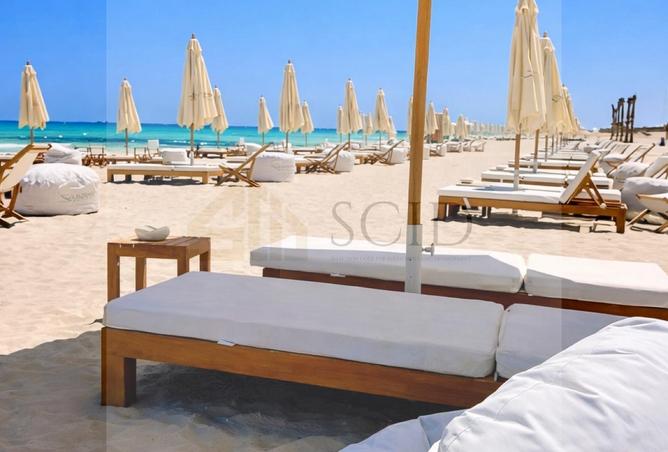 64387609 - Property Image 2