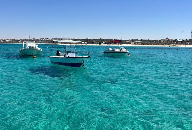 66698394 - صورة العقار 3