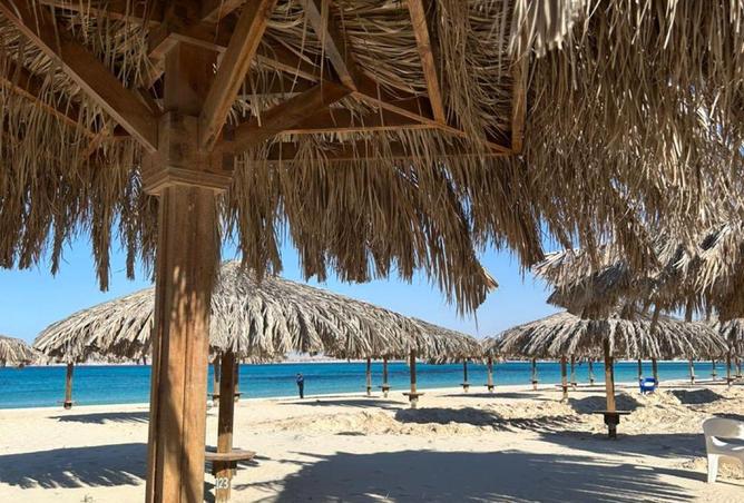 66698394 - الصورة الرئيسية للعقار