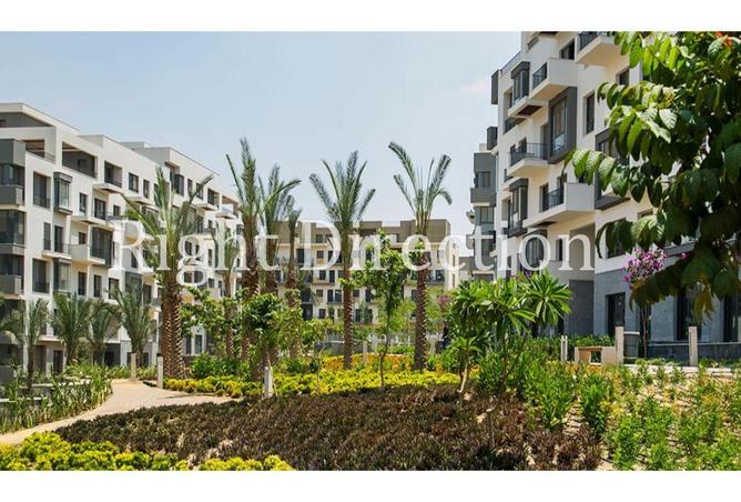 8665077 - Property Image 3