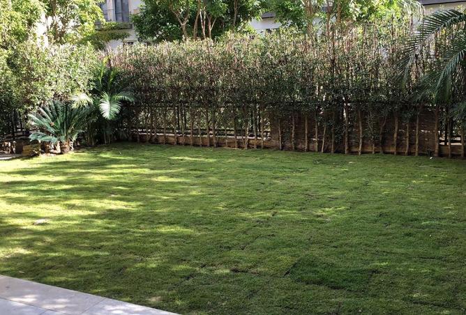 52715417 - الصورة الرئيسية للعقار