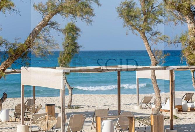 65166505 - صورة العقار 3