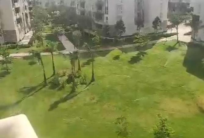 61679006 - صورة العقار 2