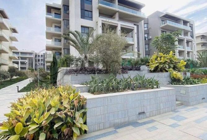 8671911 - Property Image 3