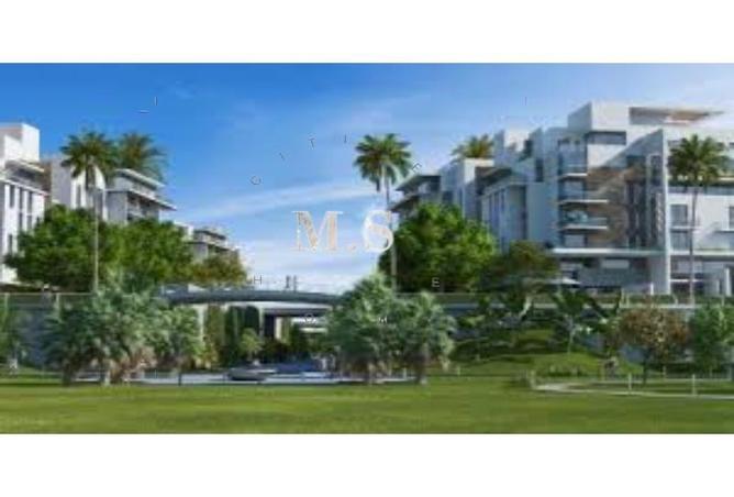 67734432 - Property Image 3