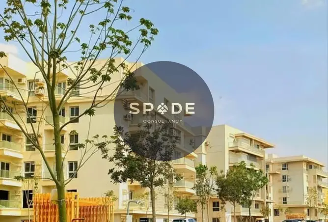 121143516 - Property Image 2