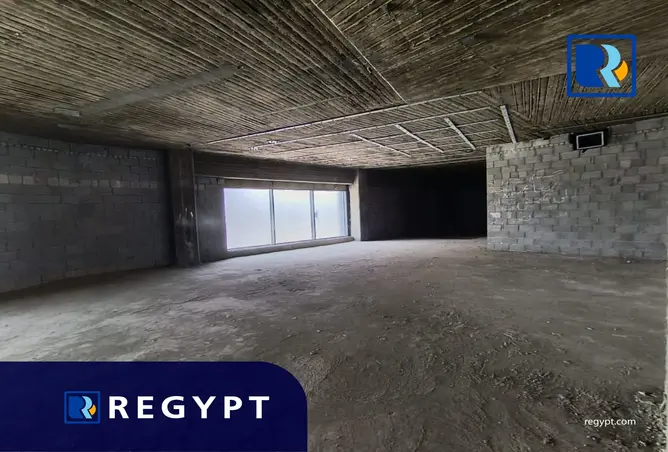 109919282 - Property Image 3