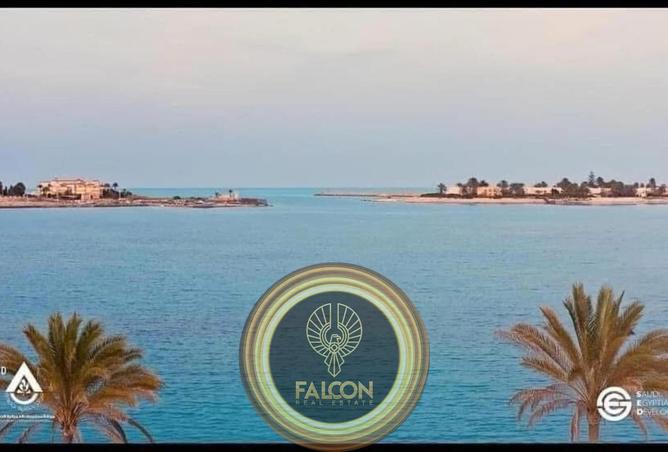 8406356 - Property Image 3