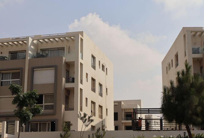 67733836 - صورة العقار 2